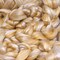 Merino Silk Luxe Tonal Designer Blend. Superfine Merino, Mulberry Silk, Tussah Silk. Top Roving for Spinning or Felting.
